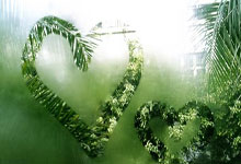 开云娱乐平台 -赛后体能课后，武汉三镇强势反弹备战NBA常规赛，信心回归，控场能力受关注的简单介绍